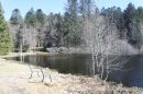 Etang du Petit Haut